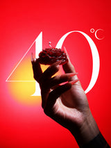 low temp skin safe massage candle red rose shape held in hand long nail art red background 40 degrees celsius decorative candle